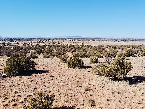 2156 Arapaho Run #186 - Photo 1